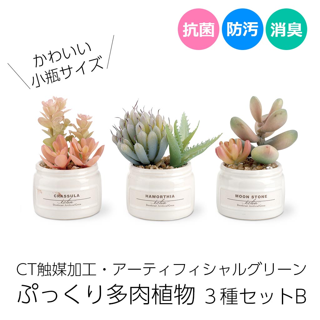 CT触媒消臭アーティフィシャルグリーン 多肉植物寄せ植え エクリア小瓶 3種類セットB