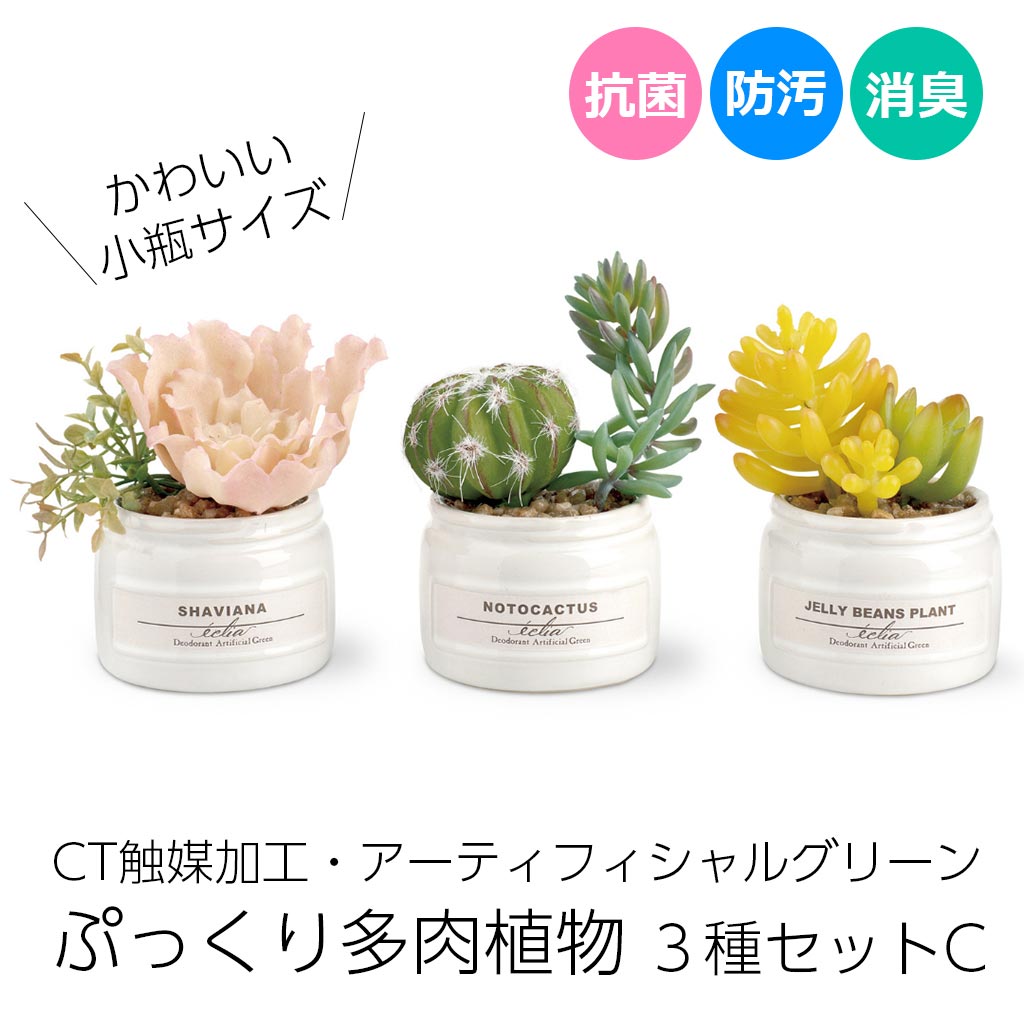 CT触媒消臭アーティフィシャルグリーン 多肉植物寄せ植え エクリア小瓶 3種類セットC