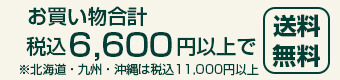 6,600円(税込)以上で送料無料。北海道・九州・沖縄は11,000円(税込)以上で送料無料。